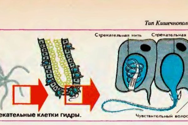 Как перевести деньги в биткоины на меге